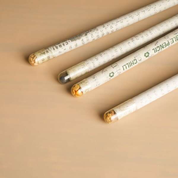 Plantable Seed Pencils | Stationary | Set of 3 - Image 2